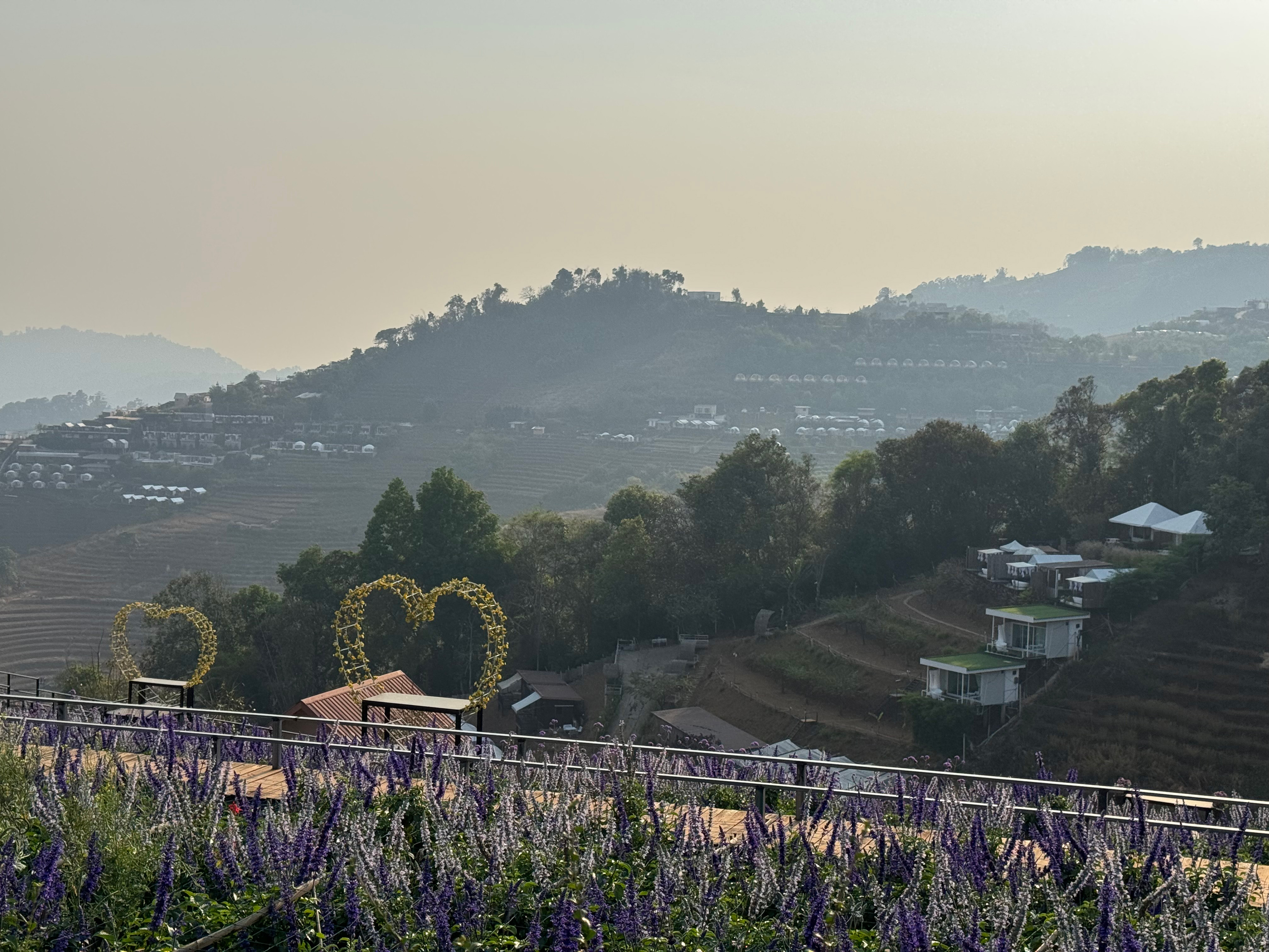 Mika von Numers portrait